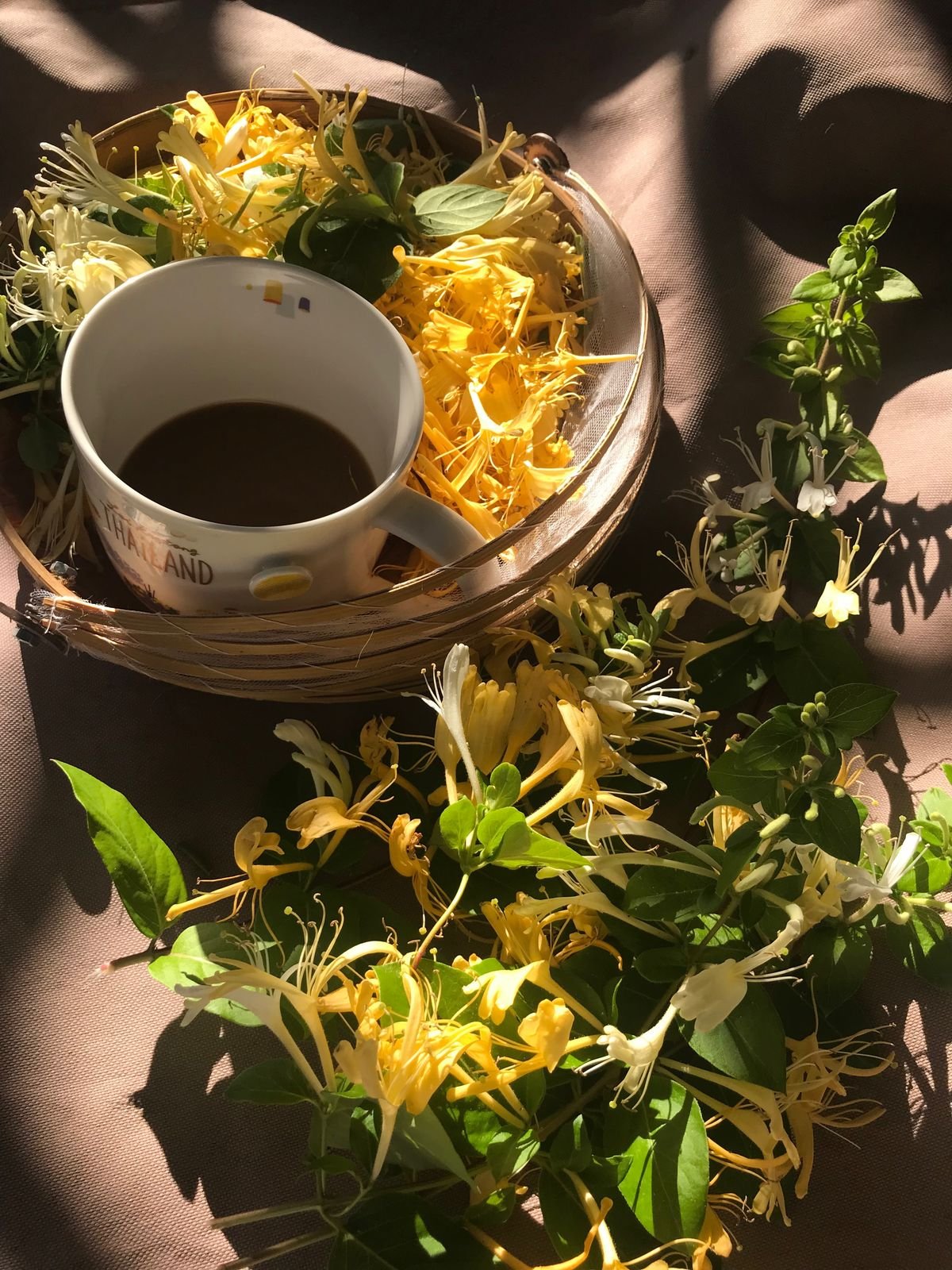 Honeysuckle Pure Tea – Morning Bloom Collection - Image 4