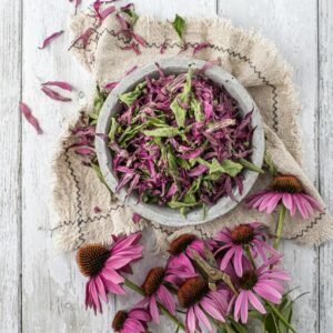 Echinacea Immune Boost Tea – Morning Bloom Collection