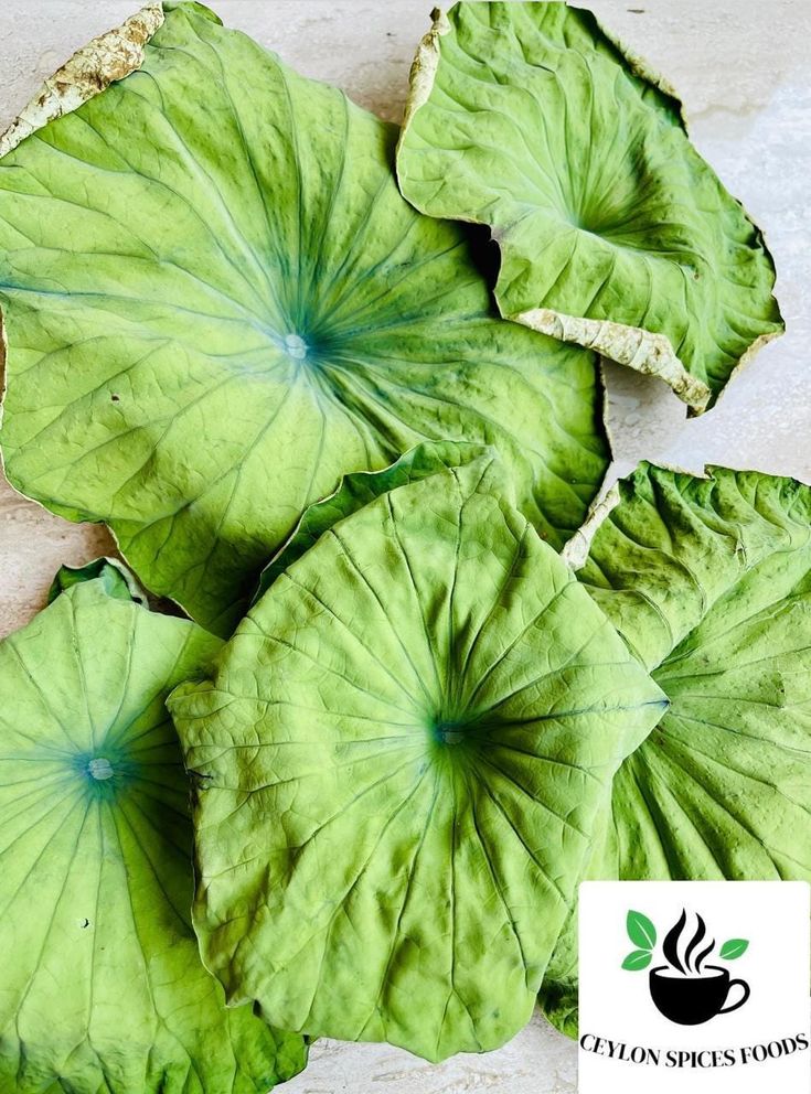 Lotus Leaf Cleanse Tea – Beauty Ritual Collection - 图片 3